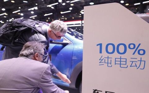 绿色跃迁与现实挑战：解码 2025 新能源汽车产业新格局