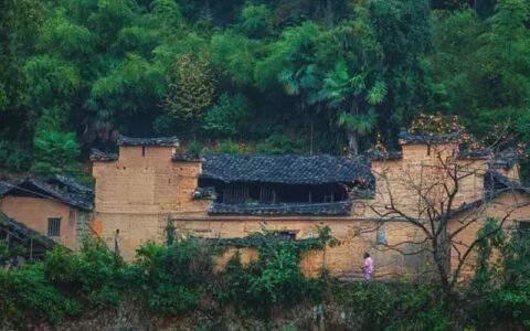 苔花如米：那些藏在时光褶皱里的旅行秘境