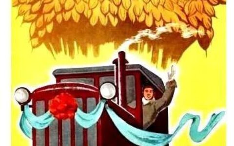 田垄间的新生：农业现代化的中国足迹