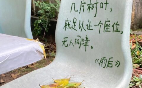 生活：藏在细节里的多维长卷