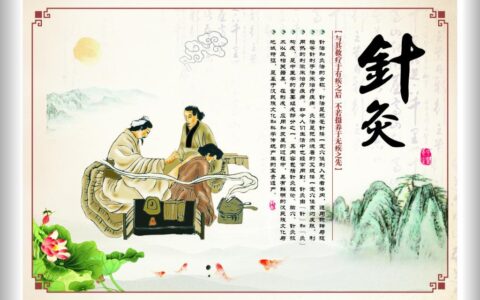银针方寸间：针灸医术的传承与现代生命力