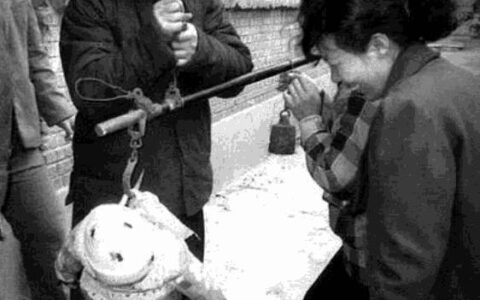 老物件里的光阴，是家最暖的底色