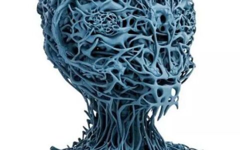 3D 打印藏着多少惊喜？从桌面玩具到人体器官的奇幻之旅