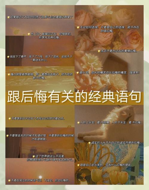 最后的几句实话