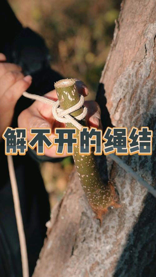 可靠性：绕不开的死结？