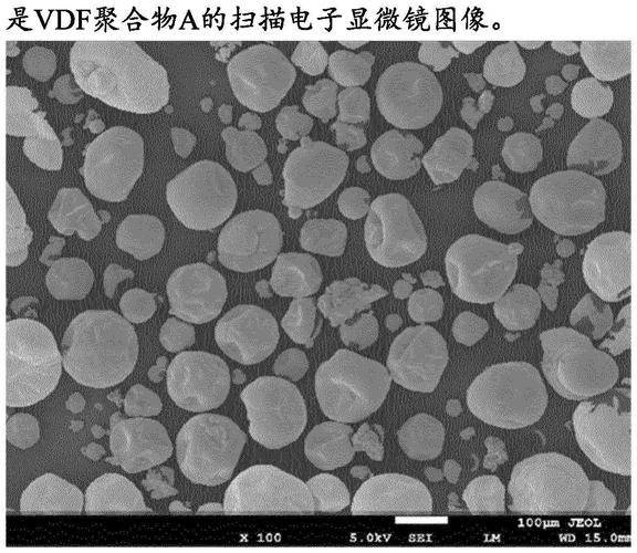 PVD涂层微结构电镜图