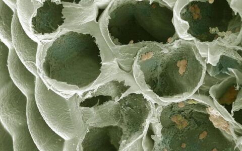 液压系统故障别急着拆，这些诊断手段先试试