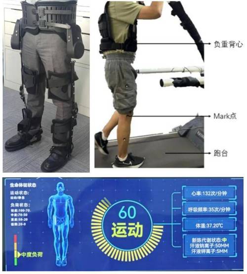 可穿戴外骨骼关节内部传感器结构图