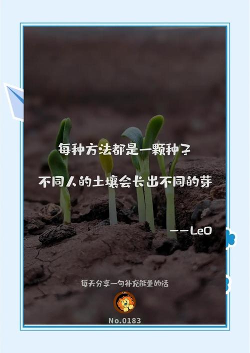 平台最终拼的是‘土壤’不是‘种子’