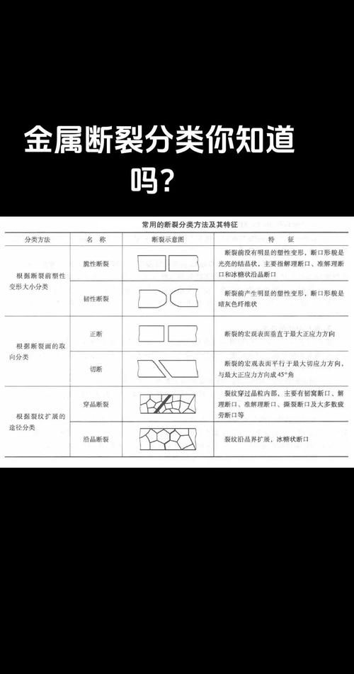 韧性不是铜墙铁壁,是弹簧