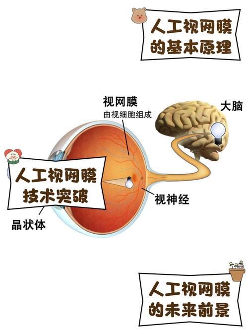 从“人工肉眼”到“算法之眼”