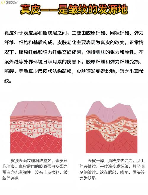 两张皮，还是长在一起？