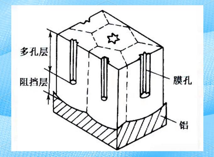 阳极氧化膜截面微观结构图