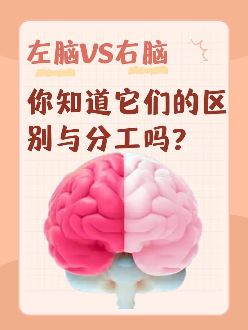 不只是一双眼睛,更是一个大脑