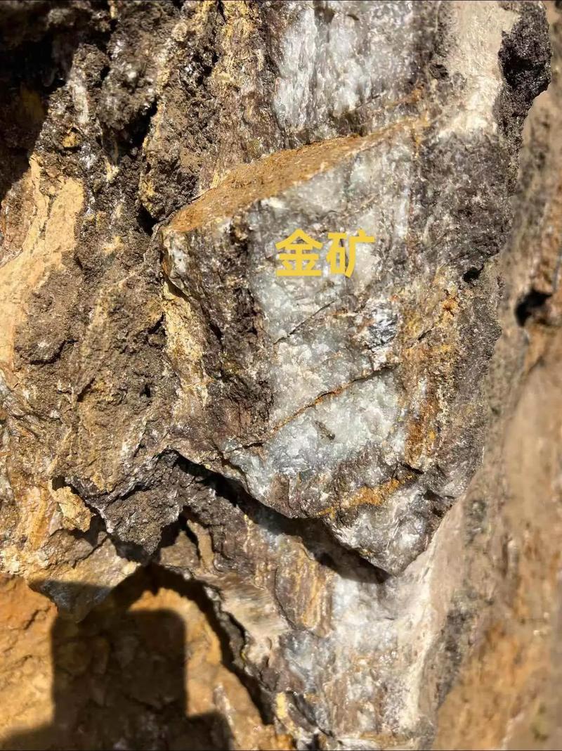 数据金矿?还是数据坟墓?