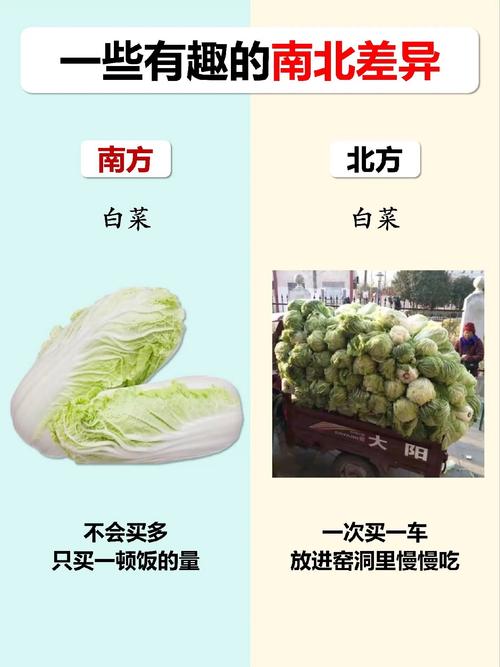 选型不是买白菜