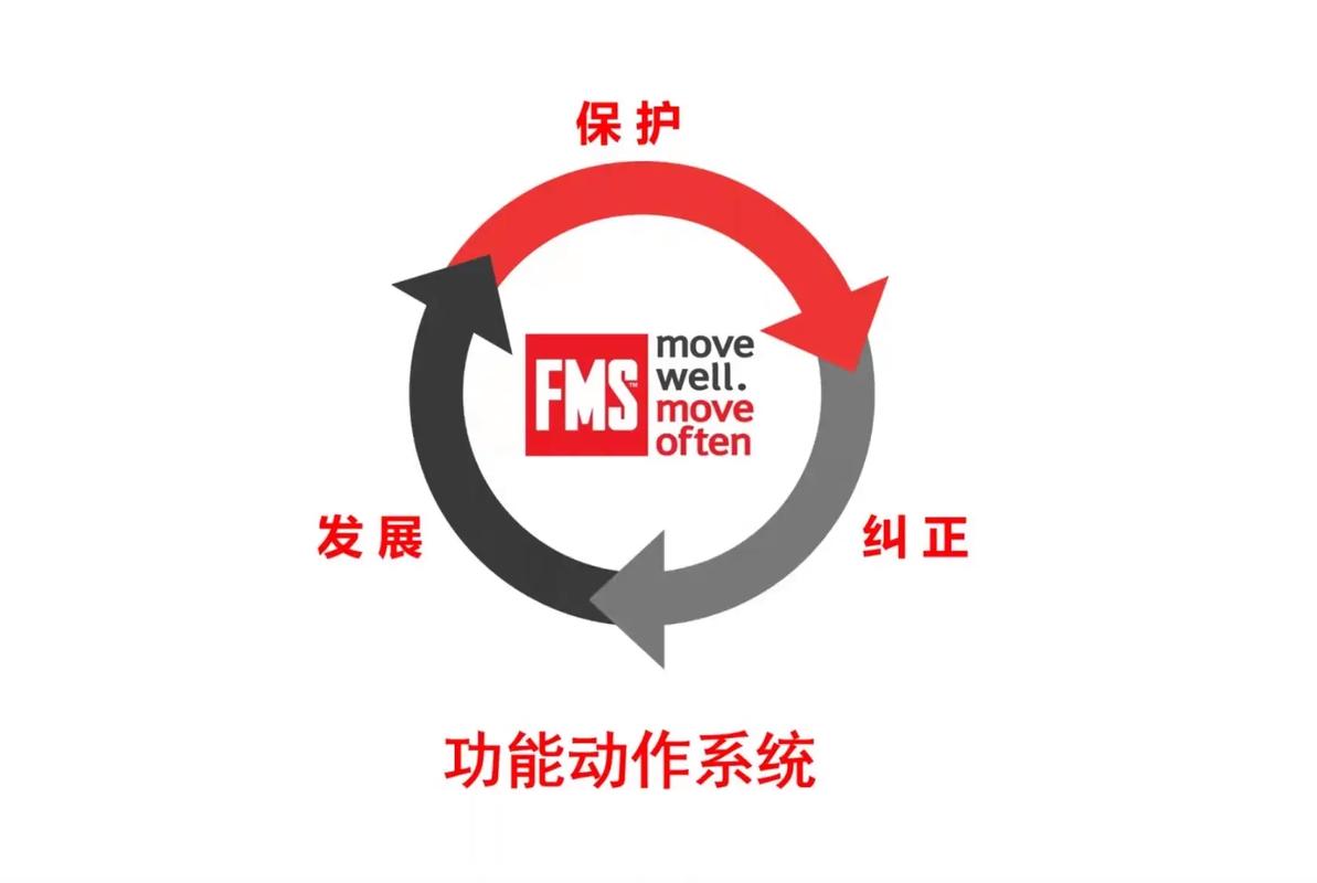 🔌 2025,FMS的新变量是“拼接”