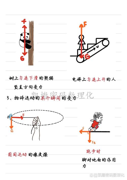 从“甩图板”运动到参数化陷阱