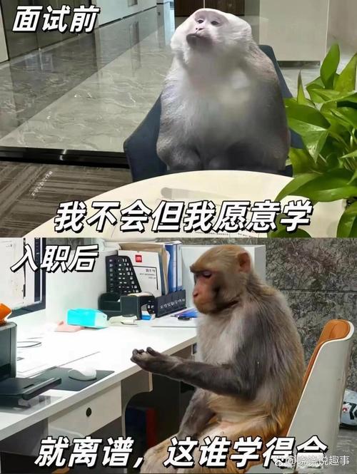 人,比技术难搞十倍