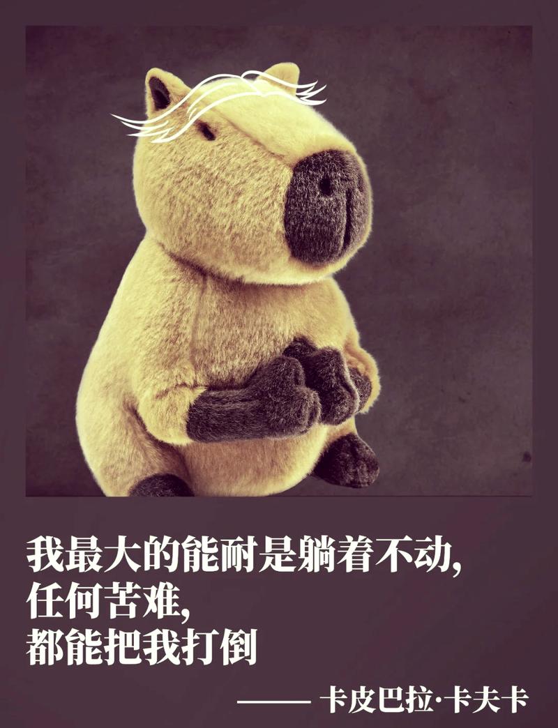 不是“能不能”,是“敢不敢”柔