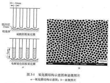 阳极氧化膜截面显微结构测量