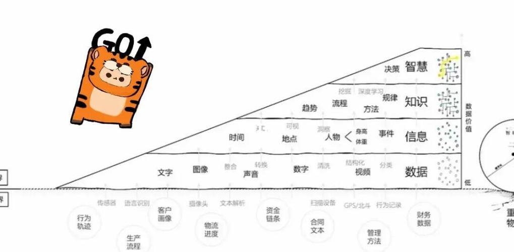 从数据到洞察,还得靠人