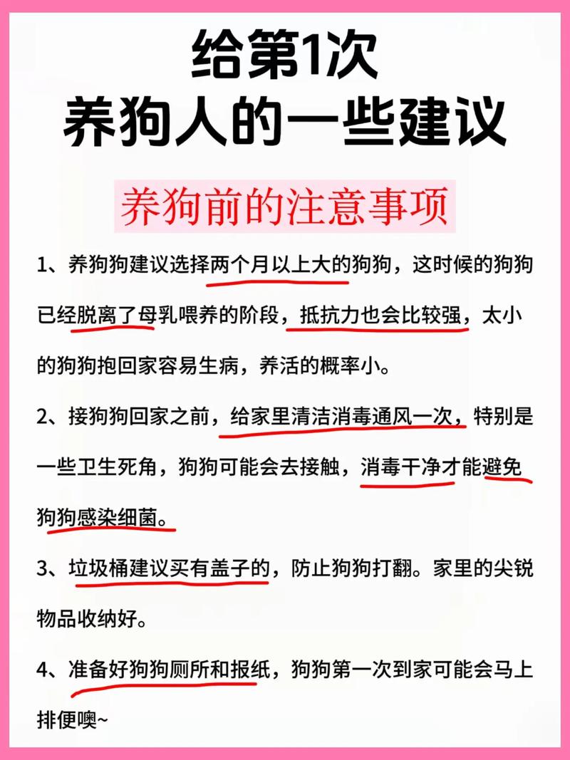 给同行的几点血泪建议