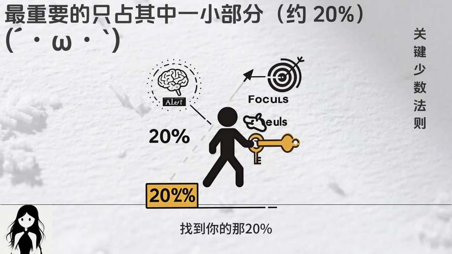 五、数字化时代的帕累托分析新玩法