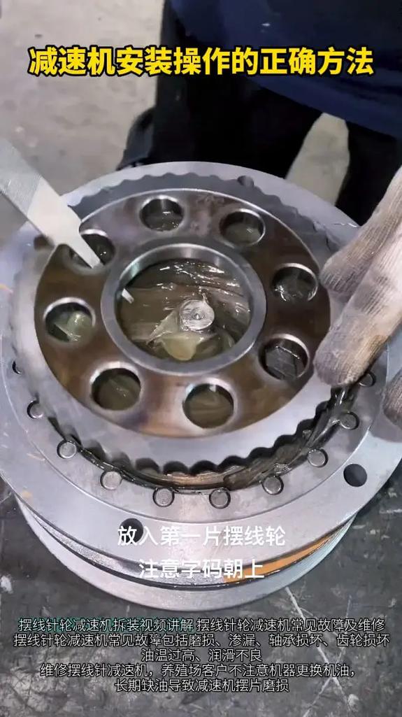 RV减速机内部摆线轮与针齿壳组装图