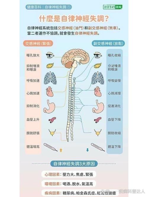 “自适应”到底有多神?