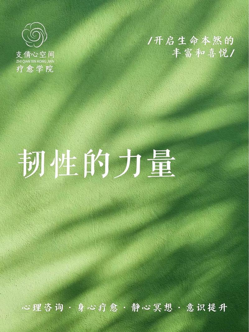 可持续与韧性：被忽视的另一面