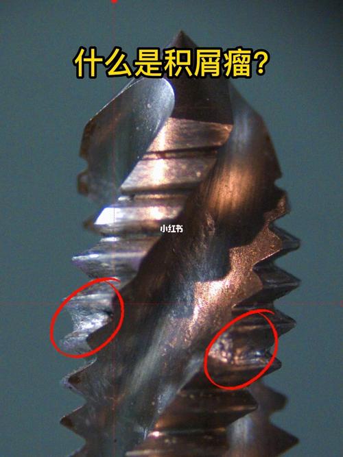 冲压模具拉伤积屑瘤特写