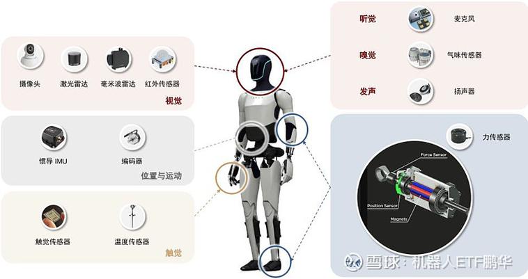 协作机器人安全传感器力矩感知局限示意图