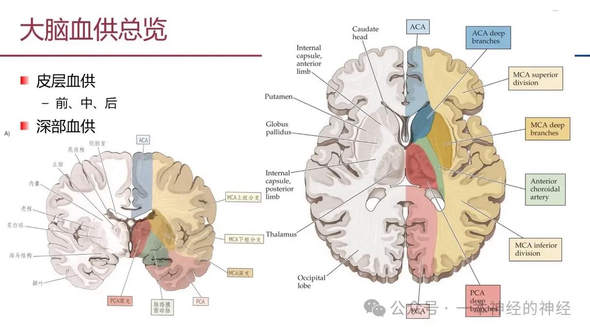 排产系统：FMS的大脑，也是最容易“脑梗”的地方