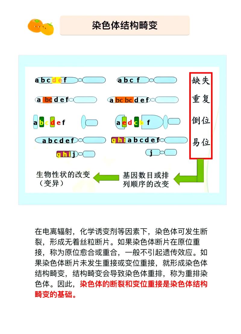 普通原因与特殊原因变异对比示意图