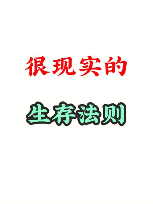 2025年现实:混合网络的生存法则